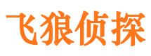 井研背景调查